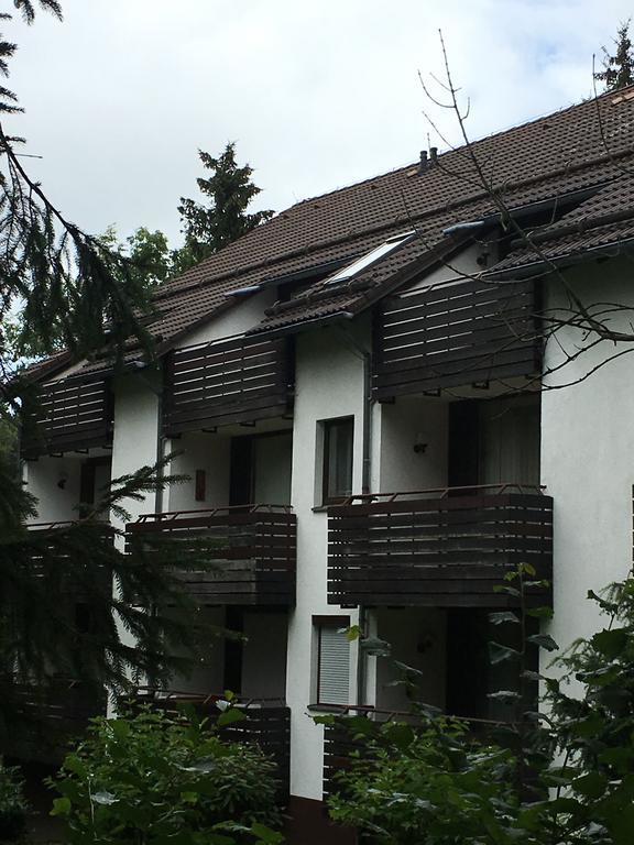 Ferienwohnung Wandervogel Braunlage Extérieur photo