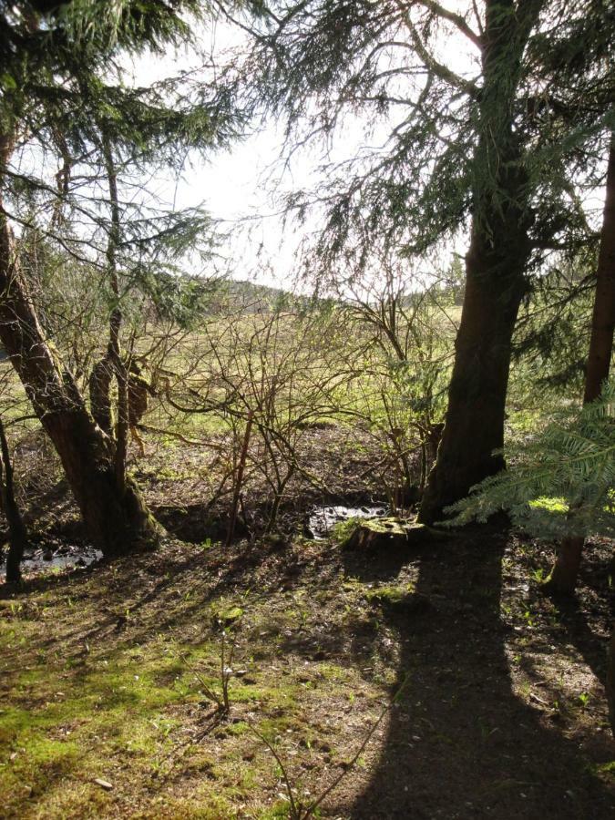Ferienwohnung Wandervogel Braunlage Extérieur photo