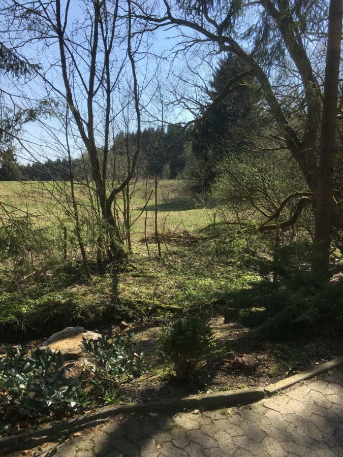 Ferienwohnung Wandervogel Braunlage Extérieur photo